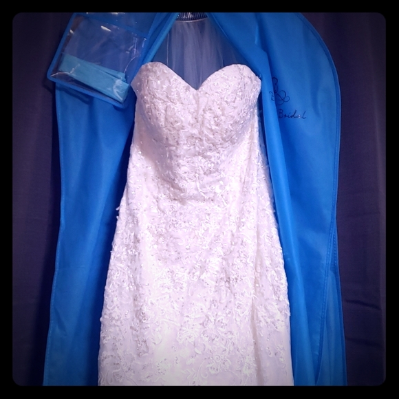 Beautiful Bridal Gown Set - Picture 1 of 8